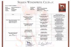 pedigree Silken Windsprite Welpen