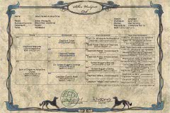 pedigree Silken Windsprite Welpen