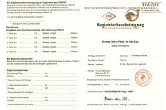 registrierbescheinigung Silken Windsprite Welpen