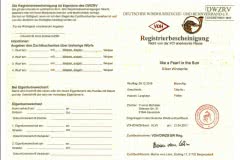 registrierbescheinigung Silken Windsprite Welpen