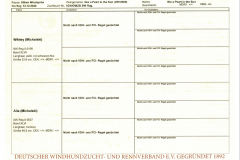 Regristrierbescheinigung2 Silken Windsprite Welpen