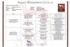 pedigree Silken Windsprite Welpen
