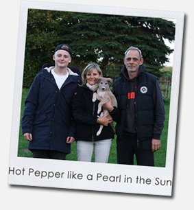 Hot Pepper like a Pearl in the Sun