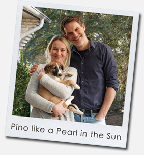 Pino like a Pearl in the Sun