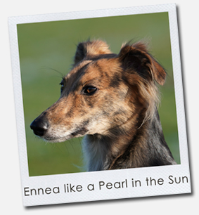Ennea like a Pearl in the Sun