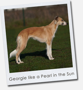 Georgie like a Pearl in the Sun