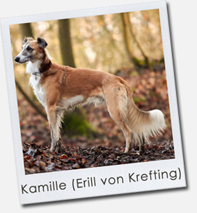 Kamille (Erill von Krefting)