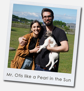 Mr. Otis like a Pearl in the Sun