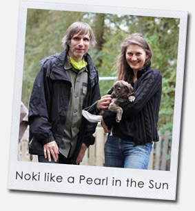 Noki like a Pearl in the Sun