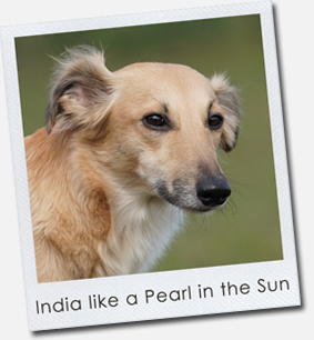 India like a Pearl in the Sun