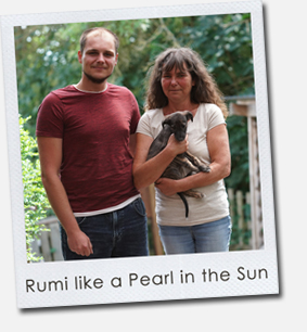 Rumi like a Pearl in the Sun