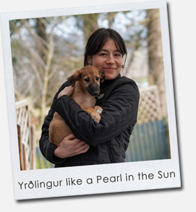 Yrðlingur like a Pearl in the Sun